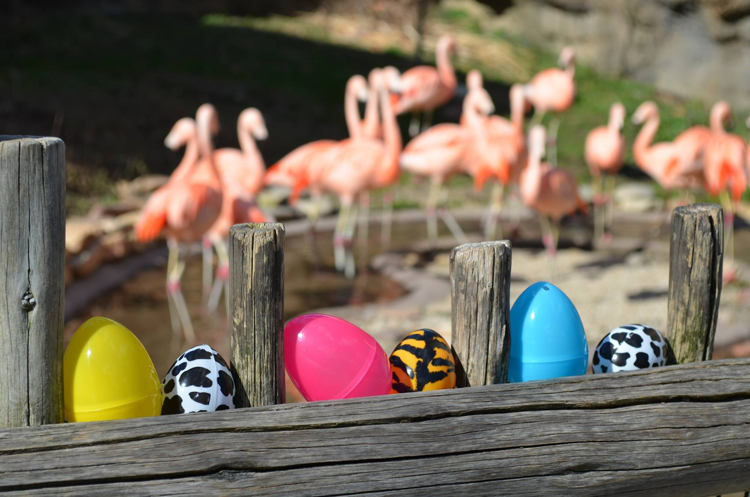 Akron/Canton Easter Events