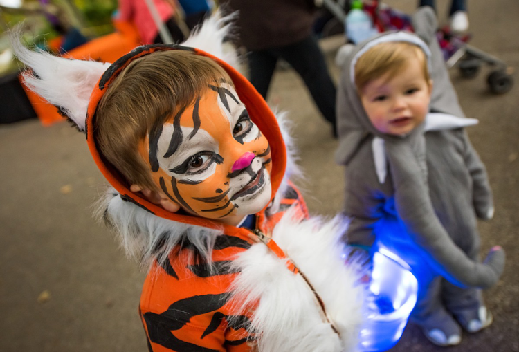 Fall Events in Cleveland Ohio