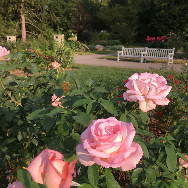 Things to Do Columbus